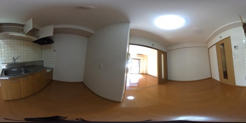 �_�C�j���O