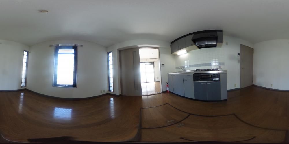 �_�C�j���O